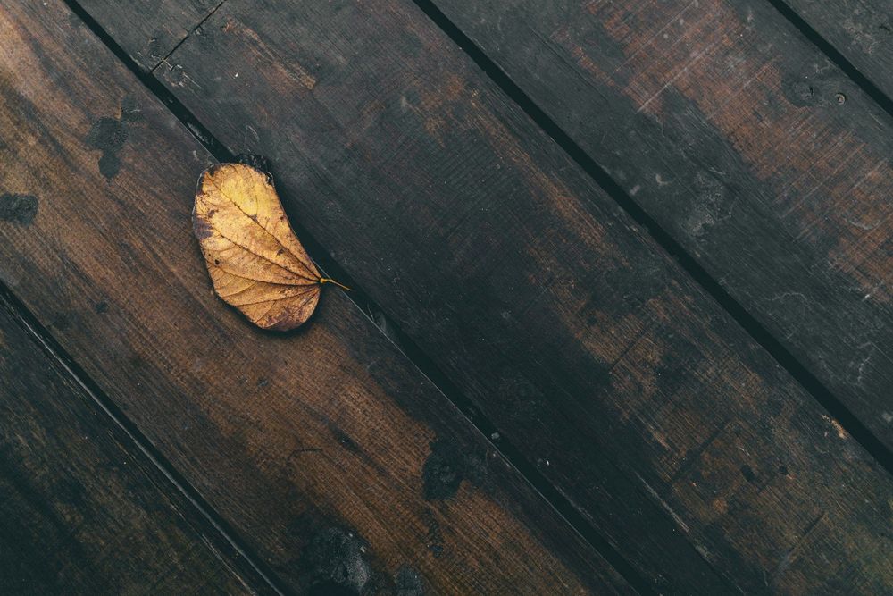 Wood Floor Maintenance: Seasonal Care Tips